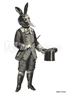 Bild på Magic rabbit